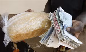 IMF cảnh báo nguy cơ siêu lạm phát tại Zimbabwe