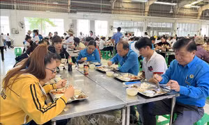 Chăm lo chất lượng bữa ăn ca, sức khỏe cho người lao động