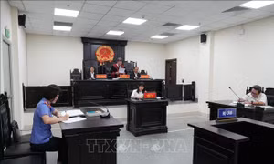 Đoàn Bảo Châu bị phạt 7 năm tù về hành vi tuyên truyền chống Nhà nước