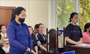 Phạt tù bảo mẫu vô ý làm bé 7 tháng tuổi tử vong