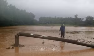 Mưa lớn khiến một phụ nữ bị nước lũ cuốn trôi và tử vong