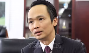 Quảng Ngãi: Rà soát thông tin về tài sản liên quan tới một số cá nhân trong vụ án 'Thao túng thị trường chứng khoán' 