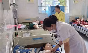 Khuyến cáo người dân chủ động phòng bệnh sốt xuất huyết