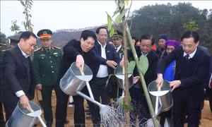 Chủ tịch nước Lương Cường: Mỗi cây xanh được trồng là một món quà vô giá cho thế hệ mai sau
