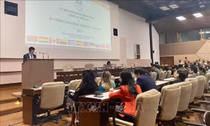 Việt Nam chia sẻ kinh nghiệm phòng, chống tham nhũng với thế giới