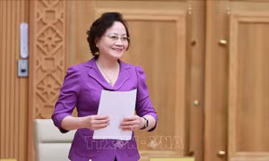 Trình Quốc hội dự án Luật Cán bộ, công chức (sửa đổi)​