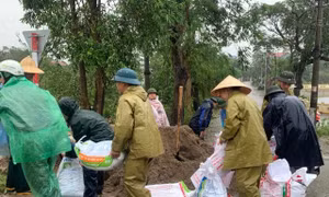 Hà Nội: Nhiều đoạn đê xung yếu được đắp cao ngăn lũ dữ