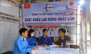 Ngày hội việc làm dành cho thanh niên dân tộc thiểu số