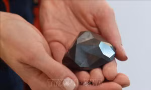 Đấu giá viên kim cương đen lớn nhất thế giới
