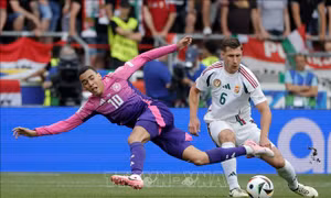 EURO 2024: Scotland và Hungary đều muốn thắng để đi tiếp