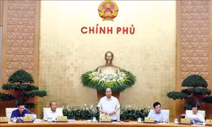 Thủ tướng phân công soạn thảo 14 dự án luật và pháp lệnh