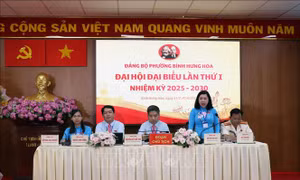 TP Hồ Chí Minh: 'Cắt' chương trình văn nghệ chào mừng Đại hội Đảng bộ phường, xã