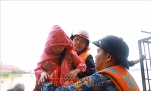 Mưa lũ miền Trung - Tây Nguyên: 68 người chết và mất tích; thiệt hại hơn 8.980 tỷ đồng