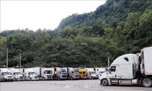 Lạng Sơn triển khai đồng bộ giải pháp thông quan hàng hóa qua các cửa khẩu