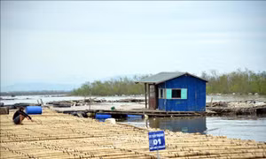 Quảng Ninh khó giải ngân hỗ trợ người dân bị ảnh hưởng bão số 3