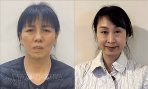 Khởi tố 2 bị can lợi dụng ảnh hưởng đối với người có chức vụ, quyền hạn để trục lợi