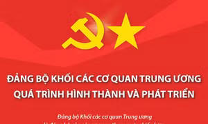 Quá trình hình thành và phát triển Đảng bộ Khối các cơ quan Trung ương