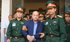 Xét xử phúc thẩm vụ án Đinh Ngọc Hệ, Bùi Như Thiềm cùng đồng phạm 