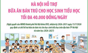 Hà Nội hỗ trợ bữa ăn bán trú cho học sinh tiểu học tối đa 40.000 đồng/ngày