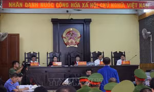 Kế hoạch triển khai thi hành Luật Thi hành án hình sự năm 2019