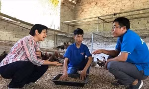 Thành công lớn từ những bước đi nhỏ
