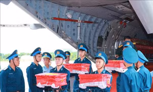 Bàn giao hơn 7.000 mẫu hài cốt liệt sĩ phục vụ giám định ADN