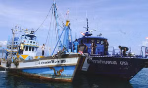 Doanh nghiệp Thái Lan 'kêu cứu' về làn sóng nhập khẩu hải sản từ các nước láng giềng