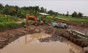 Sóc Trăng hạn chế thiệt hại về người và tài sản do triều cường
