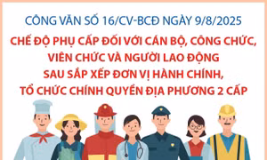Quy định về chế độ phụ cấp đối với cán bộ, công chức, viên chức và người lao động sau sắp xếp