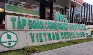 Nhiều tồn tại, vi phạm tại Tập đoàn Công nghiệp Cao su Việt Nam