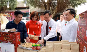 Kết nối giao thương, quảng bá sản phẩm OCOP