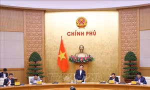 Phó Thủ tướng Trần Hồng Hà: Tạo động lực khai thác, sử dụng hiệu quả nguồn lực đất đai
