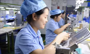 Niềm tin được củng cố, số doanh nghiệp hoạt động trở lại tăng hơn 91%