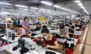 Nghị quyết số 68-NQ/TW: Khơi nguồn sức mạnh doanh nghiệp Việt