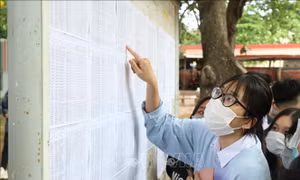 Xét tuyển đại học 2022: Thí sinh đăng ký và điều chỉnh nguyện vọng từ 22/7 - 20/8