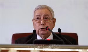 Algeria treo cờ rủ ba ngày tưởng nhớ Cựu Tổng thống tạm quyền Abdelkader Bensalah