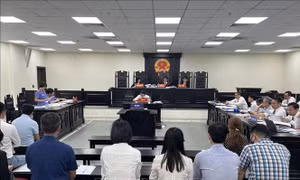 Xét xử cựu Chủ tịch Vimedimex: Viện Kiểm sát đề nghị phạt tù treo đối với các bị cáo