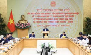 Tập trung nghiên cứu các giải pháp trọng tâm, thúc đẩy mạnh mẽ đầu tư phát triển 19 tập đoàn, tổng công ty