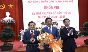 Lãnh đạo không phải người địa phương: Để có tầm nhìn rộng lớn hơn