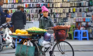 Bắc Bộ, Bắc Trung Bộ duy trì đêm không mưa, ngày nắng từ nay đến 21/11