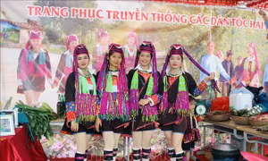 Lễ hội 'Hoa sim biên giới' ở thành phố vùng biên Móng Cái