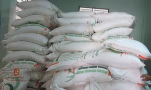 Liên tiếp bắt giữ 3 vụ vận chuyển hàng lậu ở khu vực biên giới tỉnh An Giang