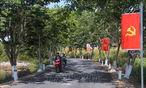 Cà Mau cần hơn 14.000 tỷ đồng hoàn thiện giao thông nông thôn