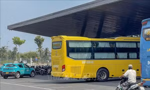 Sở GTVT Cần Thơ không cấp phép cho nhà xe Thành Bưởi hoạt động trở lại