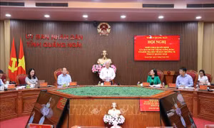 Triển khai Quyết định của Ban Bí thư kiểm tra thường niên đối với Ban Thường vụ Tỉnh ủy Quảng Ngãi
