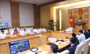 Bộ Nông nghiệp và Môi trường xây dựng kịch bản làm việc với EC về chống khai thác IUU