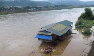 Sông Hồng xuất hiện lũ lớn nhất từ đầu mùa mưa