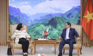 Thủ tướng Phạm Minh Chính tiếp Phó Chủ tịch Ngân hàng Thế giới