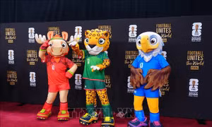 World Cup 2026: 10 đội tuyển hàng đầu qua góc nhìn của Fox Sports
