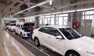 Nhập khẩu ô tô nguyên chiếc giảm nhẹ, linh kiện và phụ tùng tăng trở lại